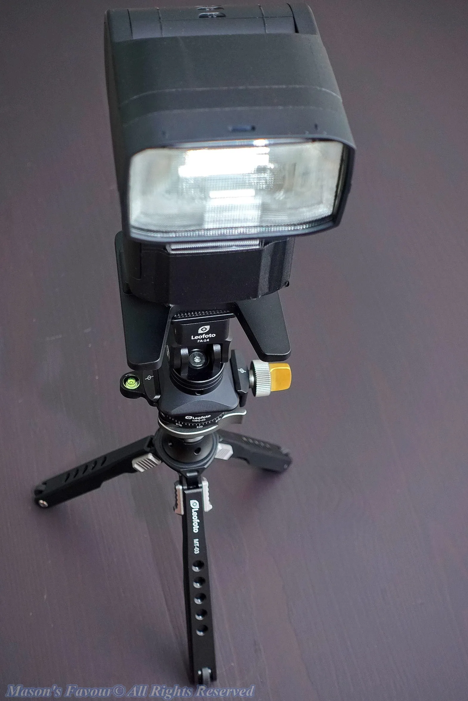 Strobe on Leofoto MT-03、MBC-20、FA-14 - 1