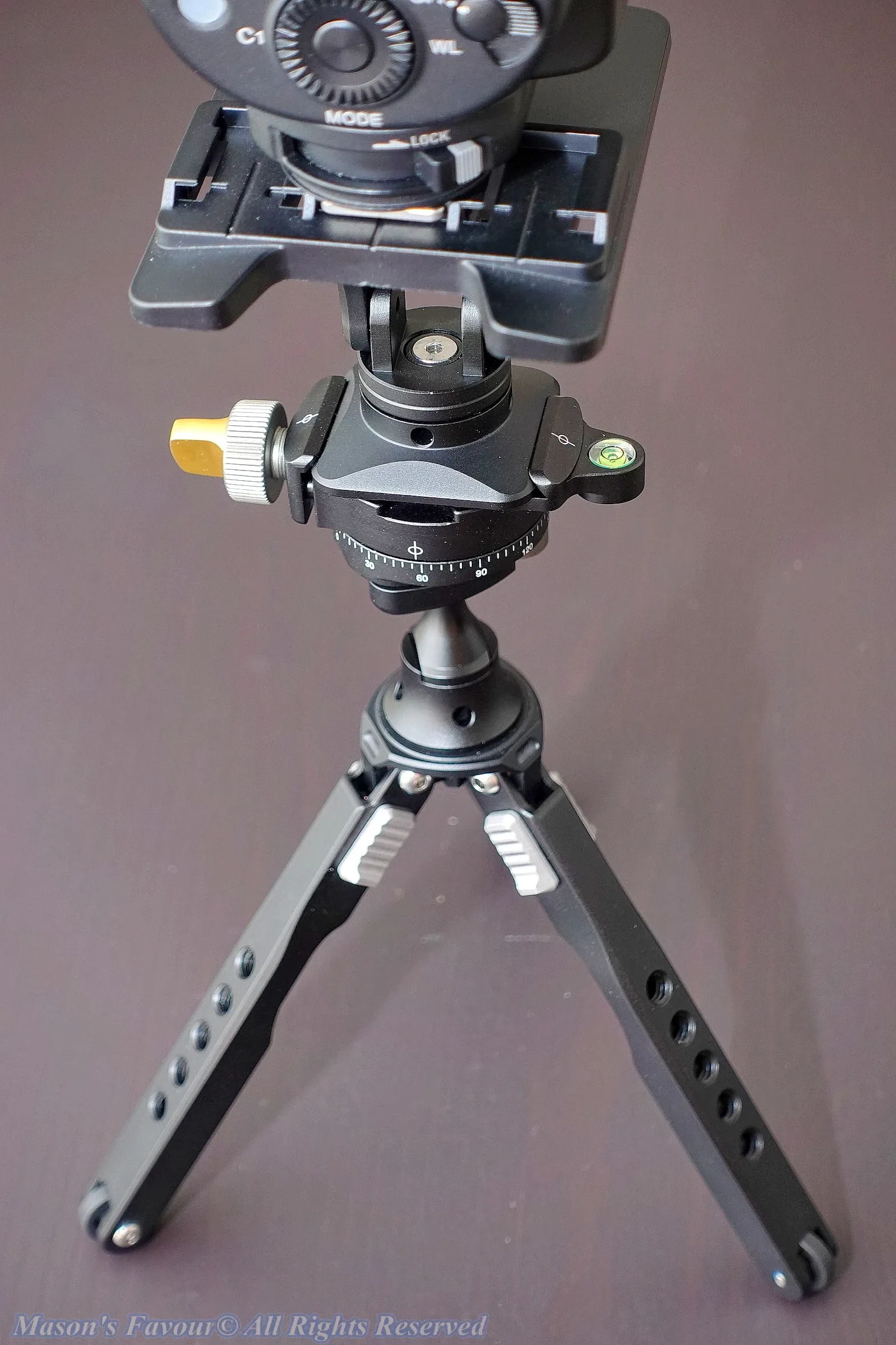 Strobe on Leofoto MT-03、MBC-20、FA-14 - 2