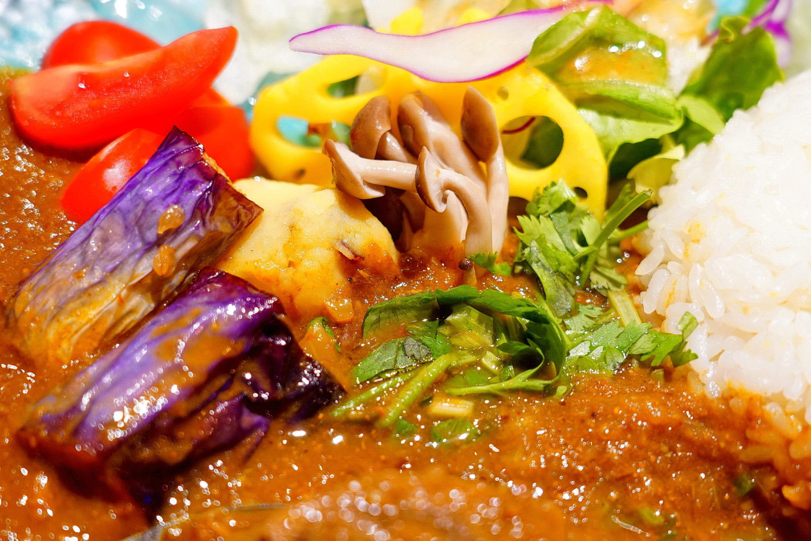 稲町家香料咖哩,紅酒燉牛腱香料咖哩,蔬菜特寫1
